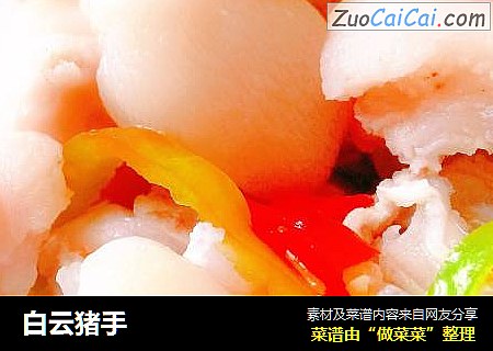 白云猪手