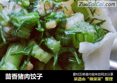 茴香猪肉饺子