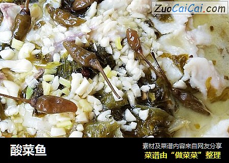 酸菜鱼