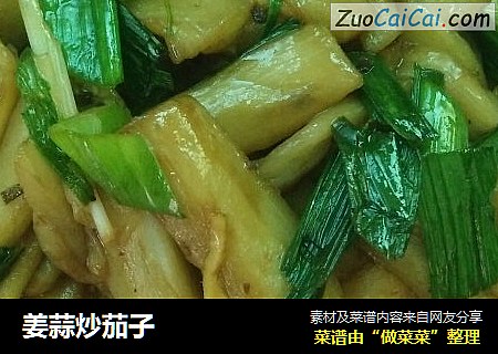 姜蒜炒茄子