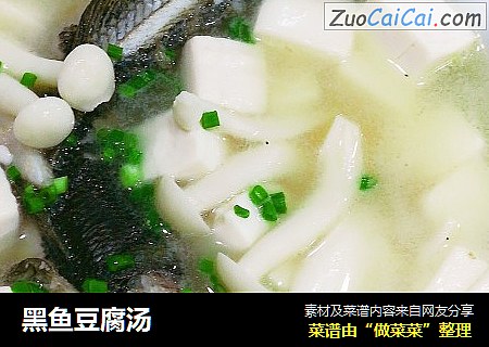黑鱼豆腐汤