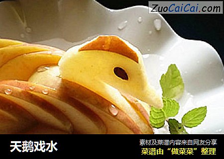 天鹅戏水