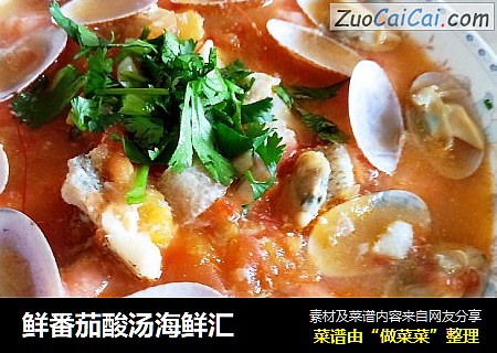 鲜番茄酸汤海鲜汇