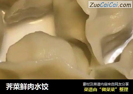 荠菜鲜肉水饺