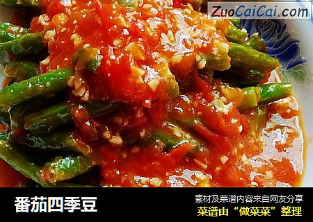 番茄四季豆