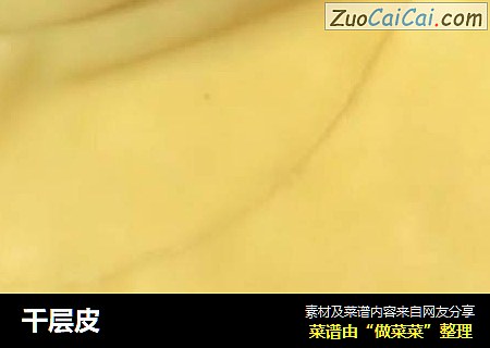 千层皮