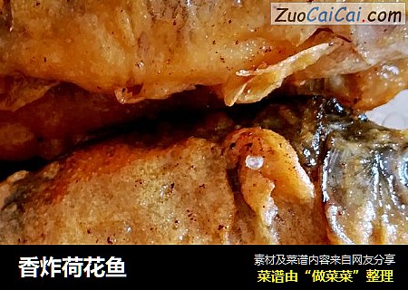 香炸荷花鱼