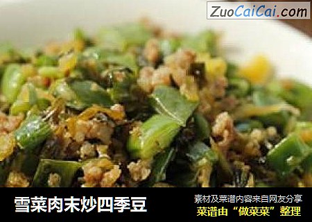 雪菜肉末炒四季豆