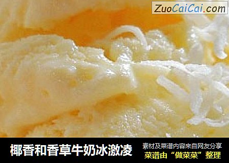 椰香和香草牛奶冰激凌