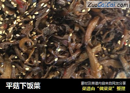 平菇下饭菜