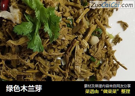 绿色木兰芽