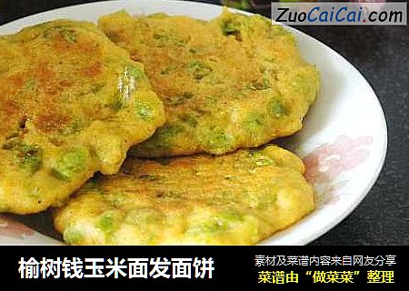 榆树钱玉米面发面饼