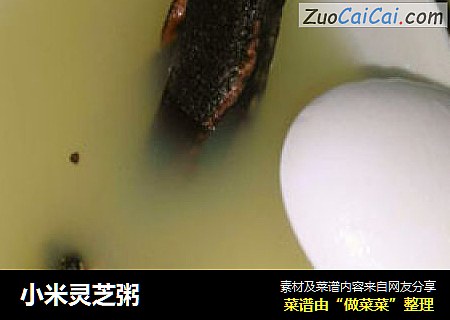 小米灵芝粥
