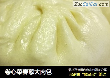 卷心菜春葱大肉包