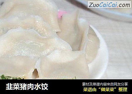 韭菜猪肉水饺