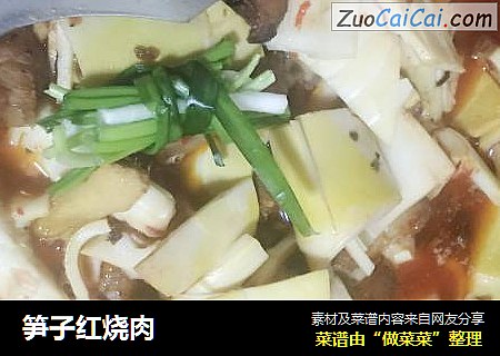 笋子红烧肉