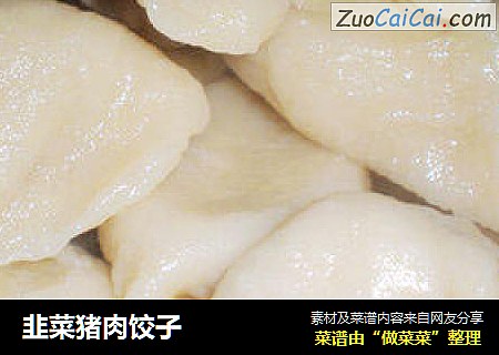 韭菜猪肉饺子