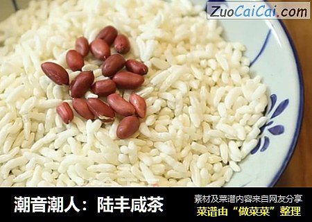 潮音潮人：陆丰咸茶