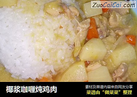 椰浆咖喱炖鸡肉