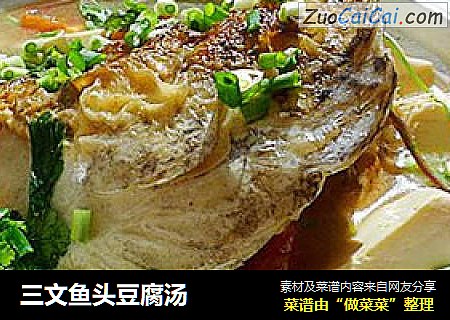 三文鱼头豆腐汤