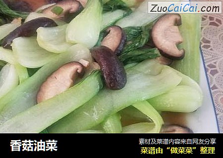 香菇油菜