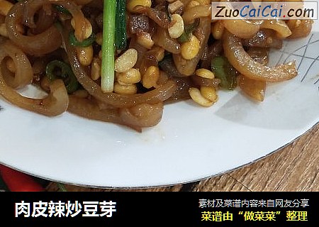 肉皮辣炒豆芽