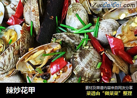 辣炒花甲