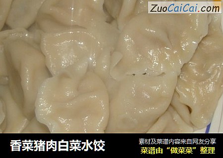 香菜猪肉白菜水饺