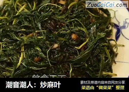 潮音潮人：炒麻叶