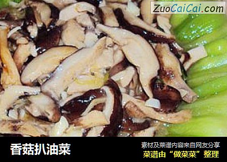 香菇扒油菜