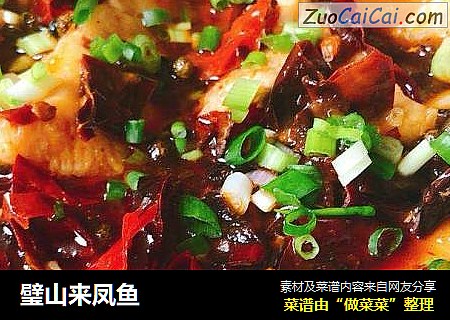 璧山来凤鱼