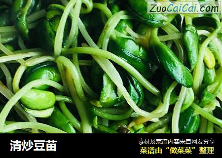 清炒豆苗