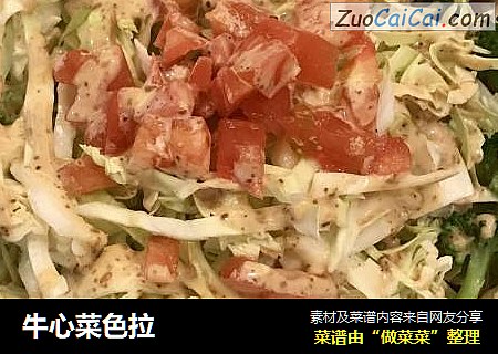 牛心菜色拉