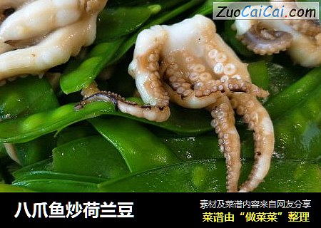 八爪鱼炒荷兰豆