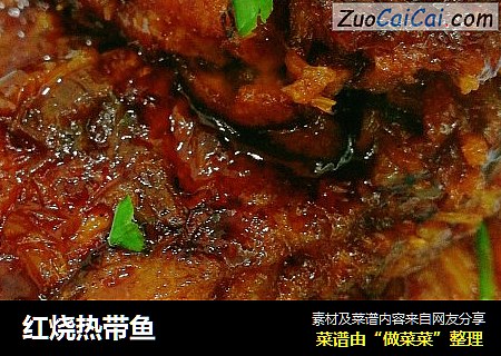 红烧热带鱼