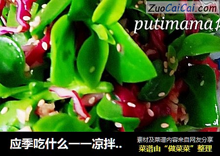 应季吃什么一一凉拌穿心莲