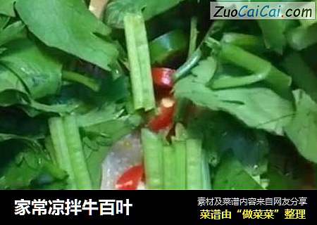 家常凉拌牛百叶