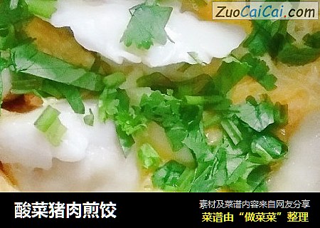 酸菜猪肉煎饺