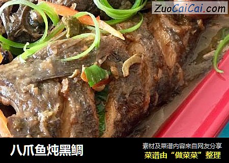 八爪鱼炖黑鲷