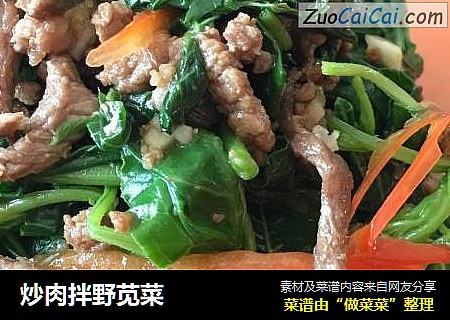 炒肉拌野苋菜