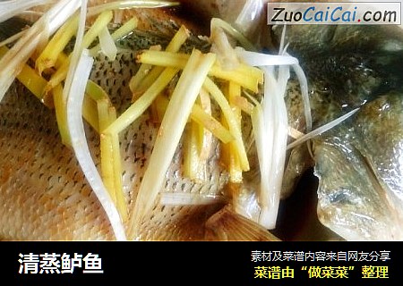 清蒸鲈鱼