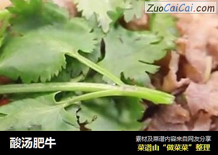 酸汤肥牛