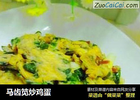 马齿笕炒鸡蛋