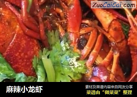 麻辣小龙虾