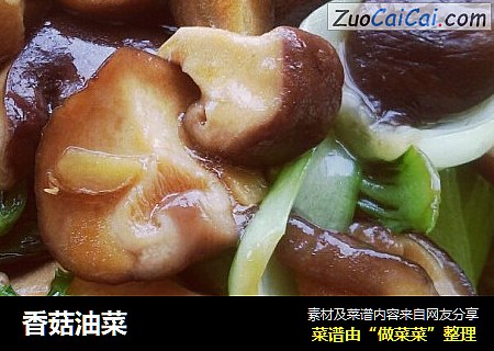 香菇油菜