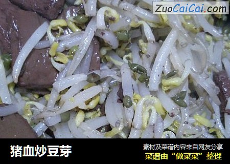 猪血炒豆芽