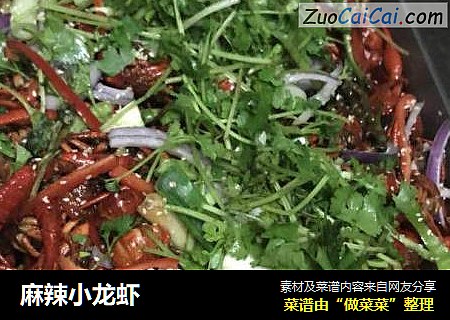 麻辣小龙虾