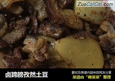 卤蹄膀孜然土豆