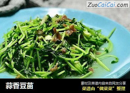 蒜香豆苗