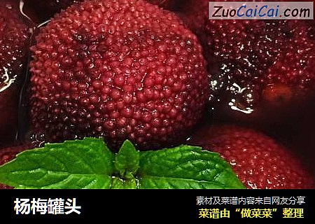 杨梅罐头